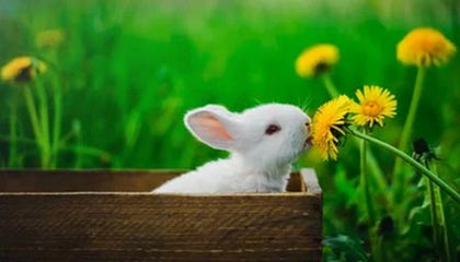 熊猫体育官方网站-绝地求生 选手训练强度持续加大，绝地求生训练手雷在哪里