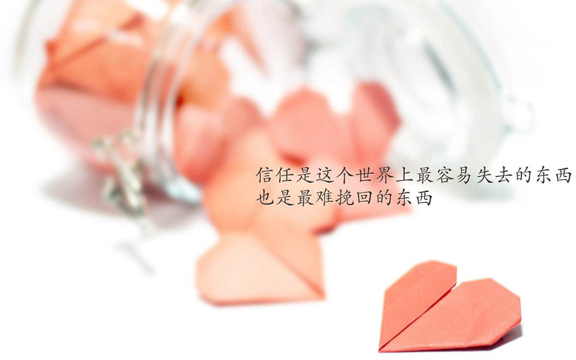 比利时骑手吉尔·托马斯在2024年国际马术联合会障碍赛世界巡回赛中获得个人第六名，表现出色。