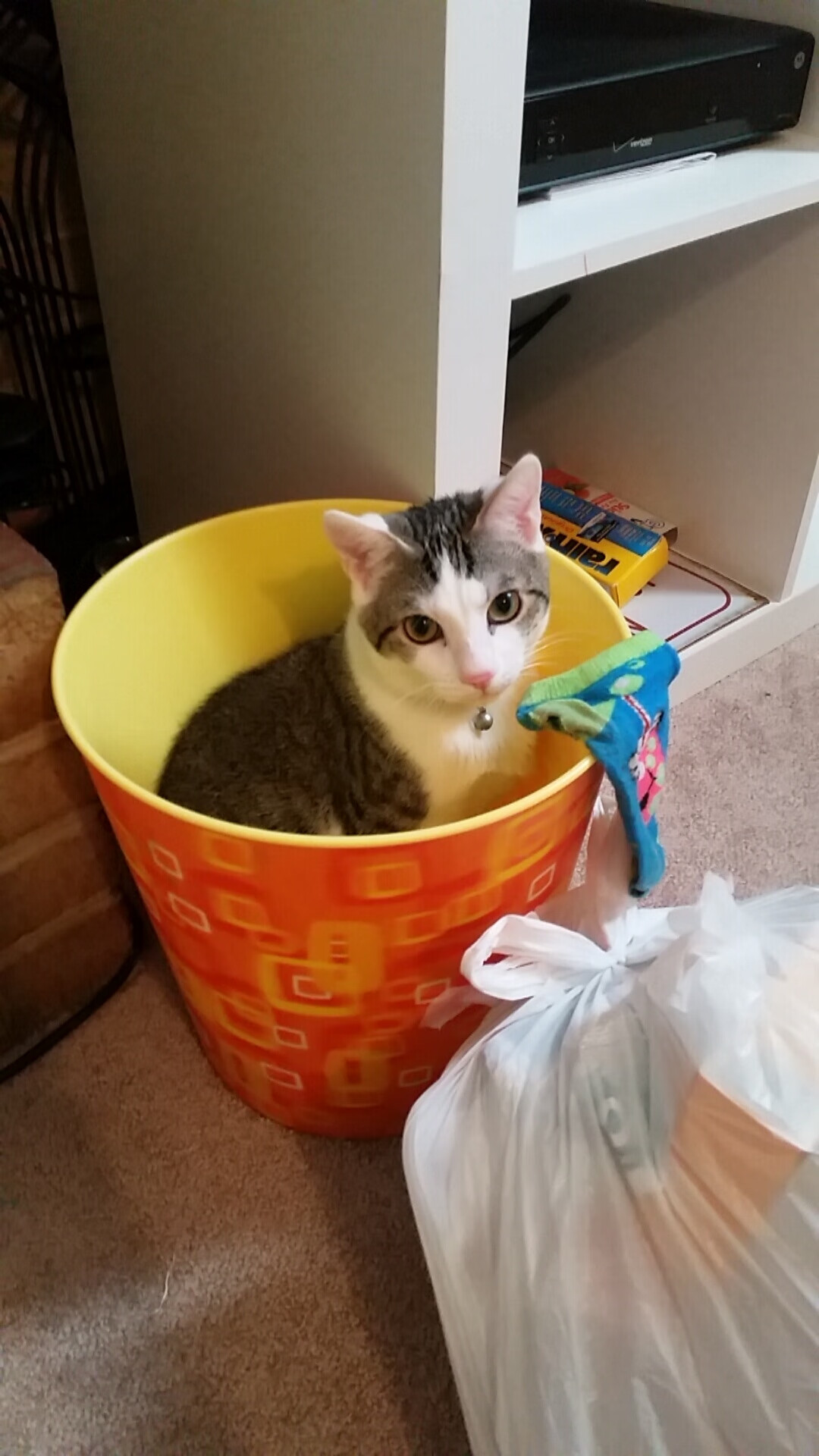 莱昂·马尔尚决赛发挥成大赢家，莱昂内尔