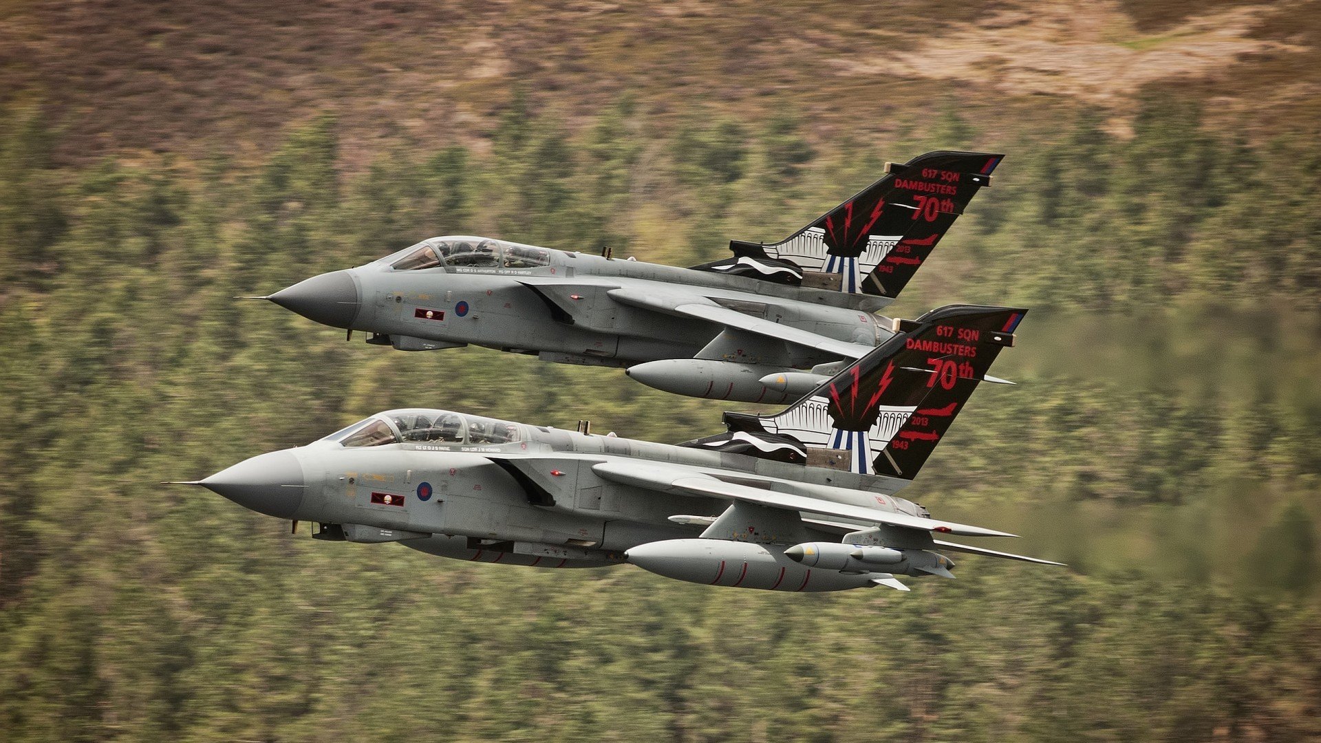 里根·史密斯技术细节获教练高度评价，里根史密斯仰泳